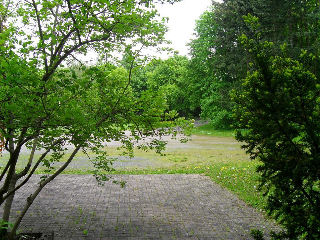 Motel Zur Festwiese Gierstädt エクステリア 写真